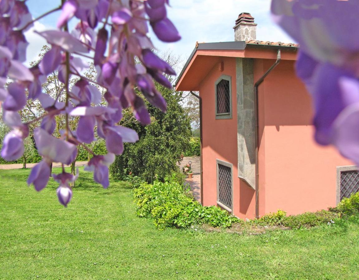 B&B Ai Glicini - Castelli Romani Marino Exterior photo