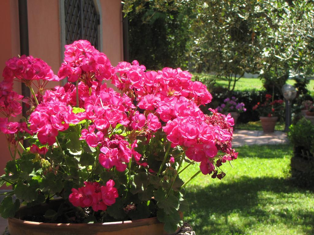 B&B Ai Glicini - Castelli Romani Marino Exterior photo