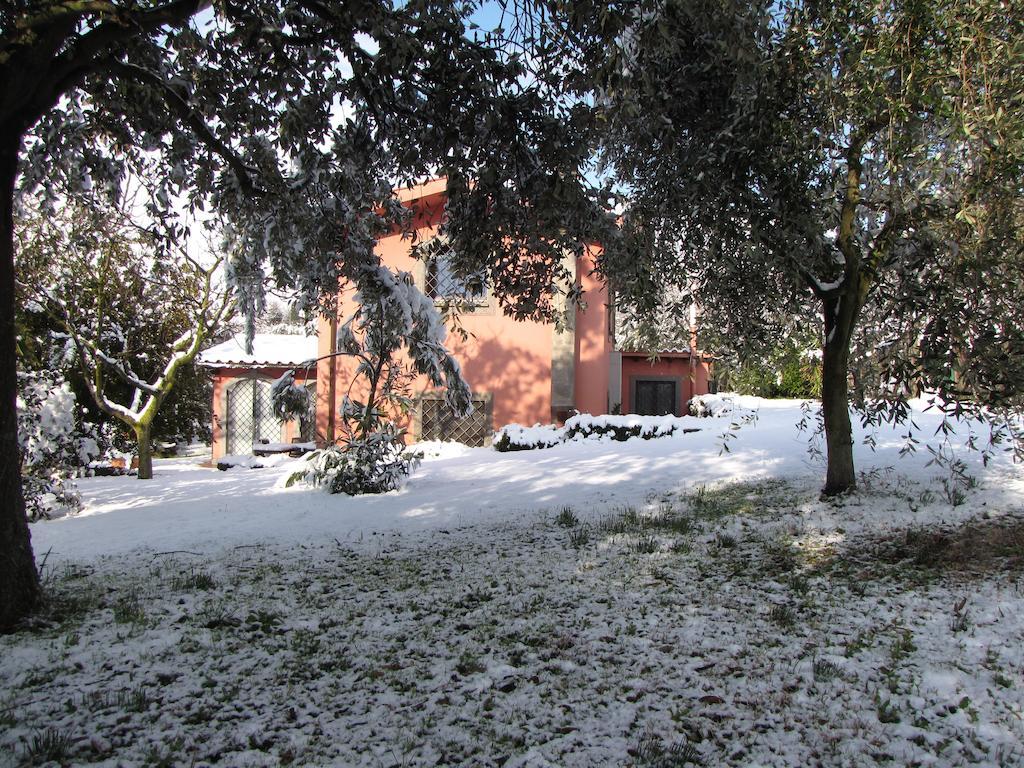 B&B Ai Glicini - Castelli Romani Marino Exterior photo