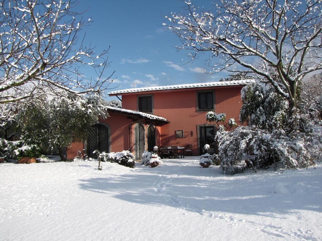 B&B Ai Glicini - Castelli Romani Marino Exterior photo